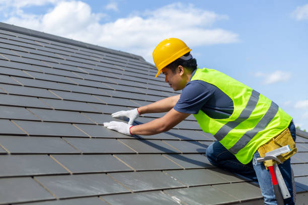Best Roof Gutter Cleaning  in Oak Grove, VA