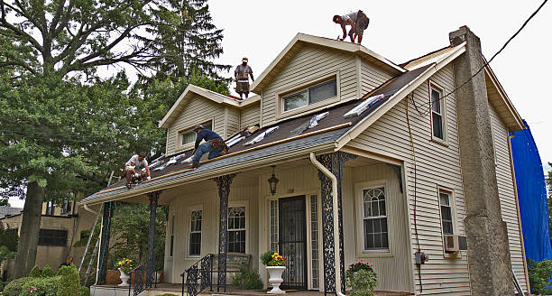 Best Metal Roofing Contractor  in Oak Grove, VA